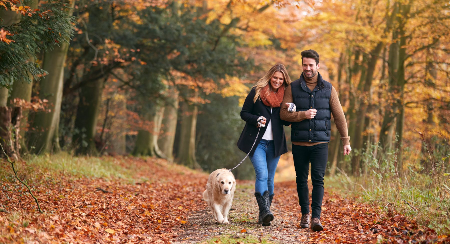 Two people walking a dog along an autumn path